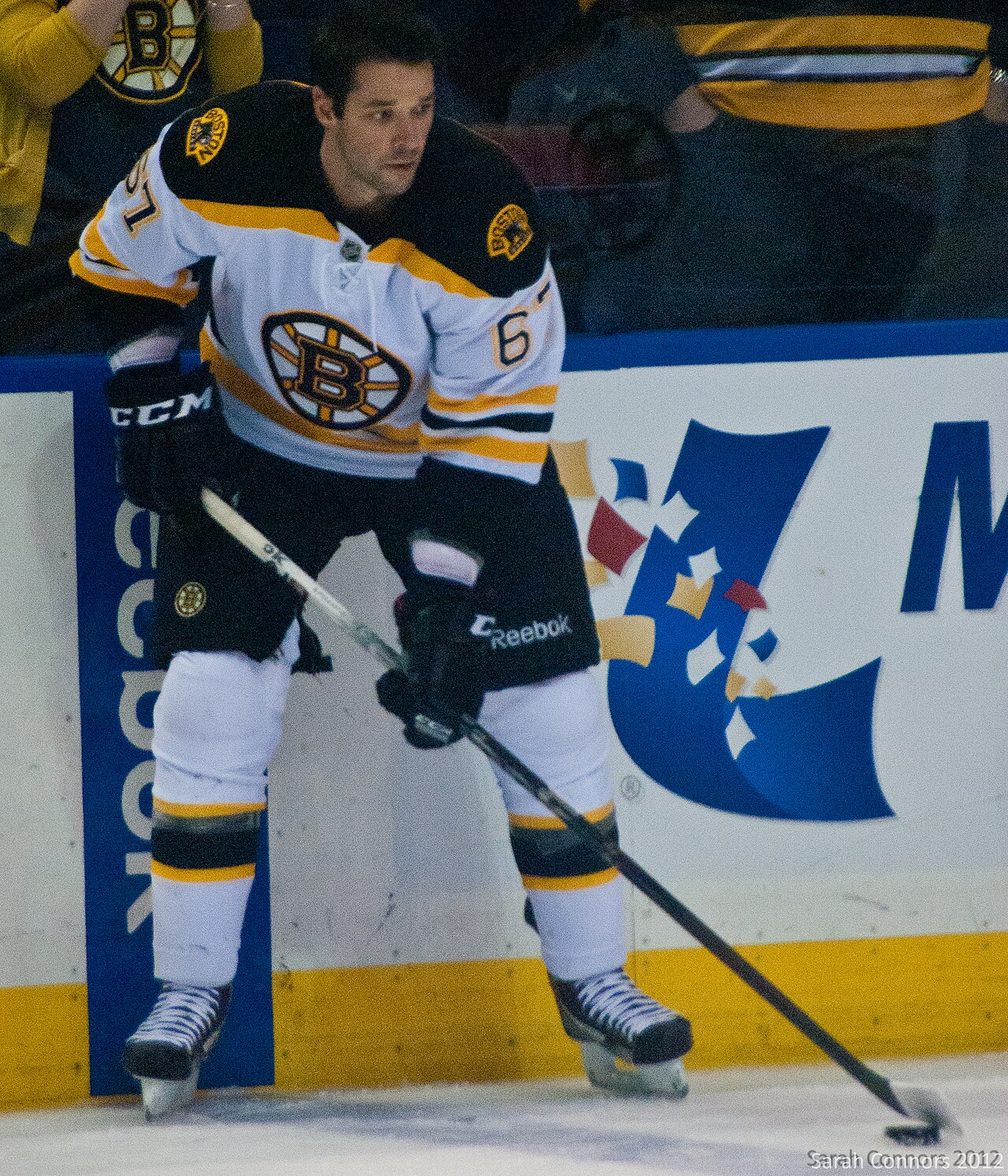 Boston Bruins