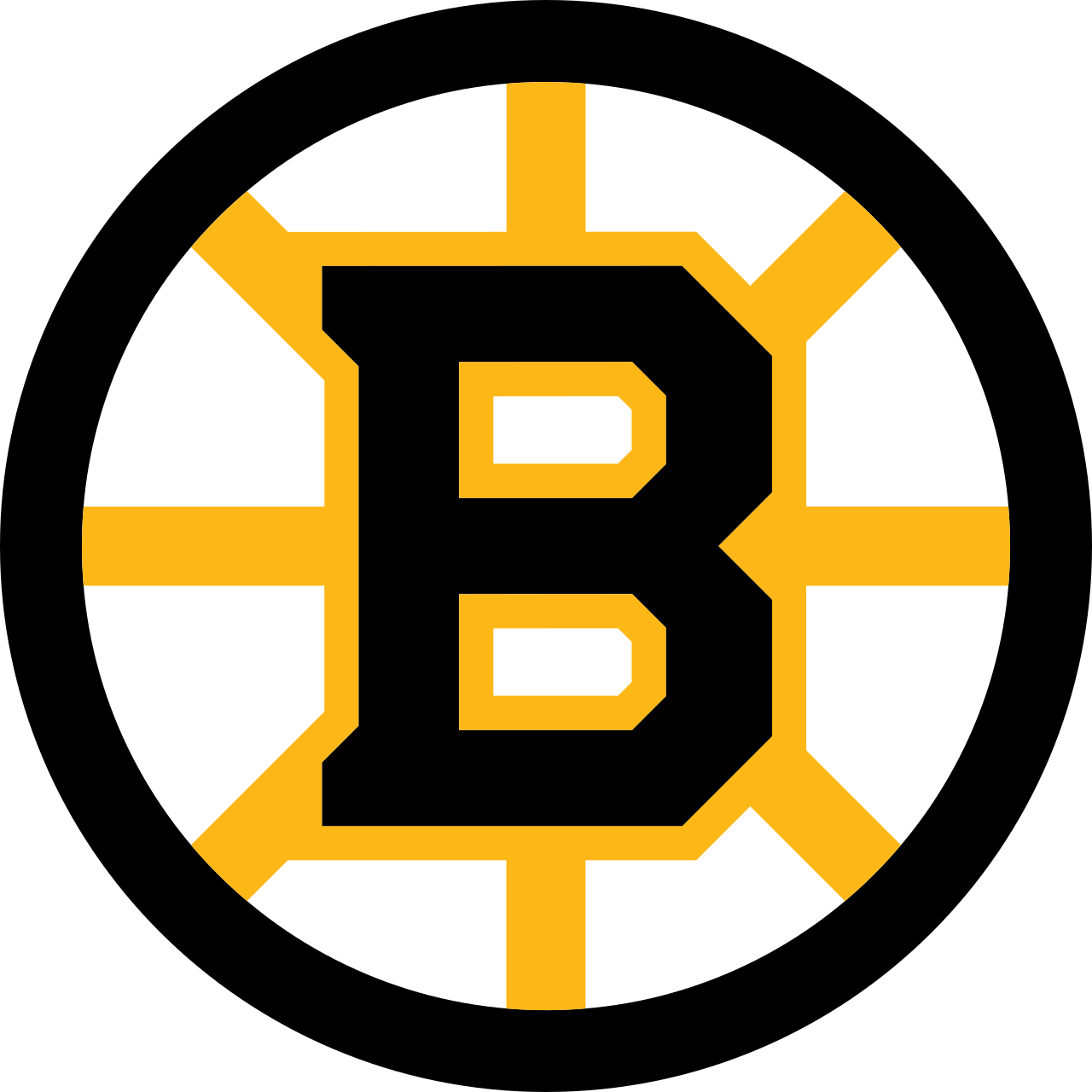 Boston Bruins